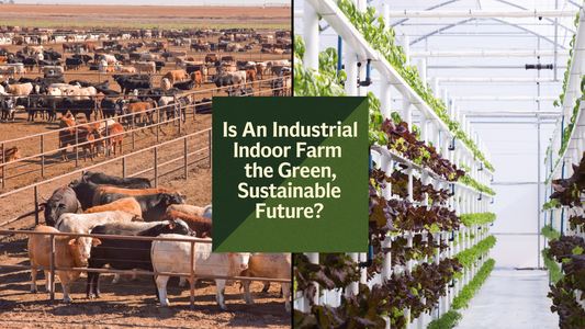The High Cost of a Jobless Farm: Why Replacing One Industrial System With Another Isn’t the Green Solution We Think It Is