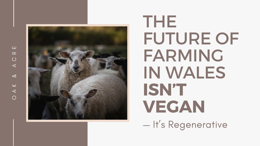 The Future of Farming in Wales Isn’t Vegan — It’s Regenerative